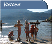 img_visitors.gif